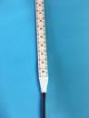 Streifen 20Watt  12Volt,neutral weiss, 2031